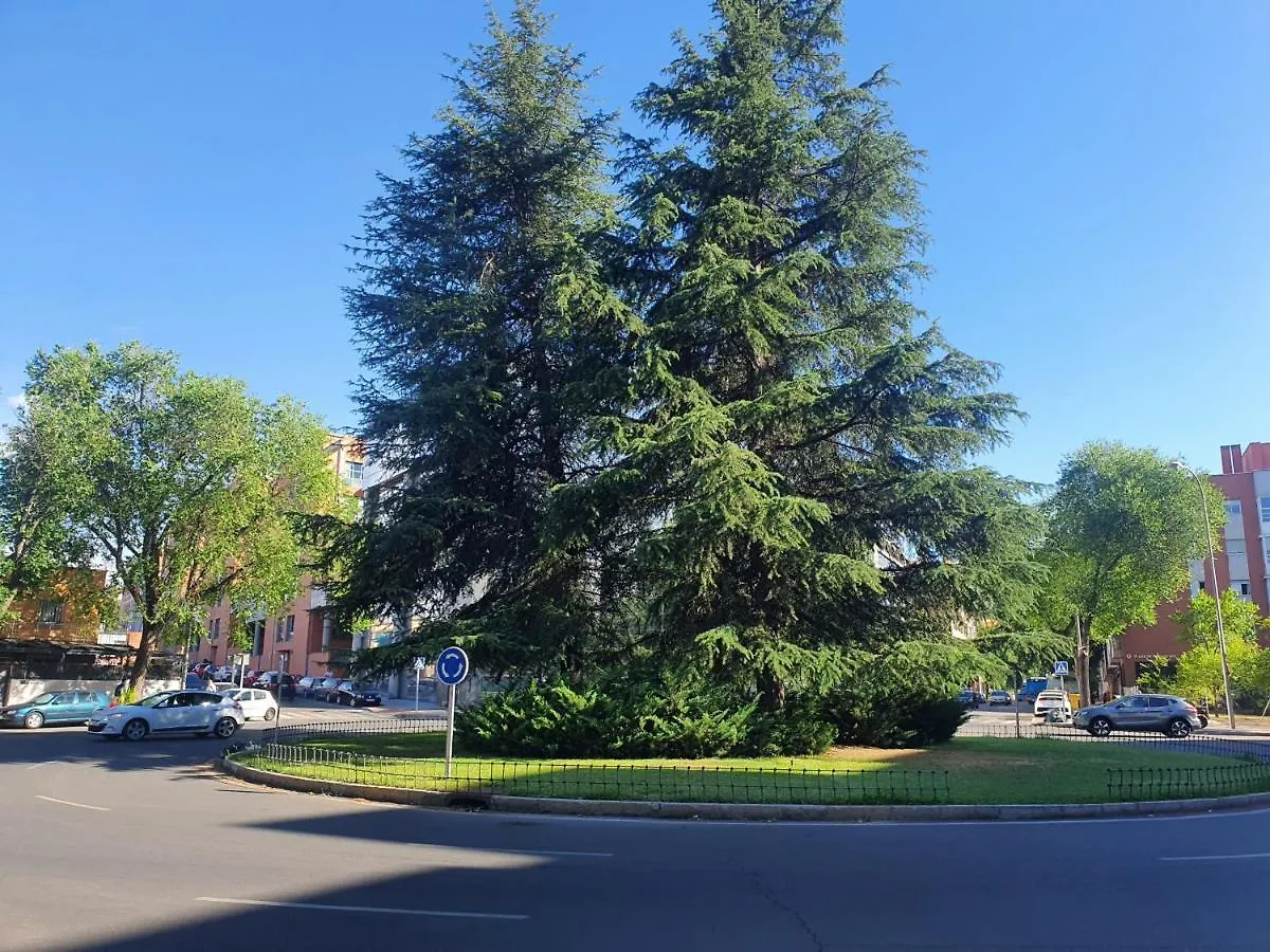 Duplex 2 Plantas - C Alcala-Ifema-Ventas- Jardin & Parking Privados- Suites Boutique Wh Madrid